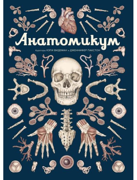 Анатомикум