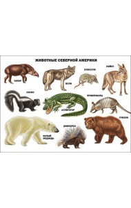Животные северной америки