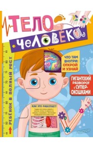 Тело человека