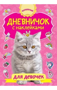 Дневничок с наклейками для девочки