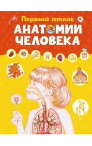Первый атлас анатомии человека