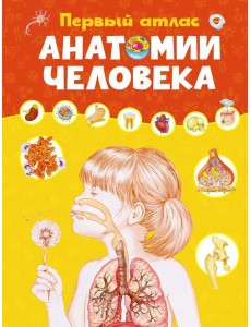Первый атлас анатомии человека Первый атлас анатомии человека