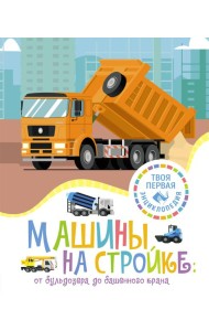 Машины на стройке: от бульдозера до башенного крана