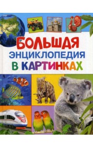 Большая энциклопедия в картинках