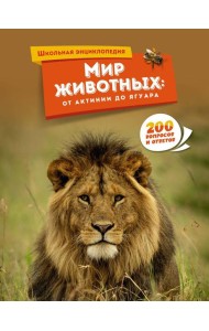 Мир животных: от актинии до ягуара