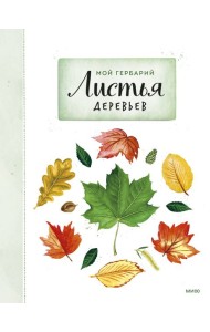 Мой гербарий. Листья деревьев(переупак)