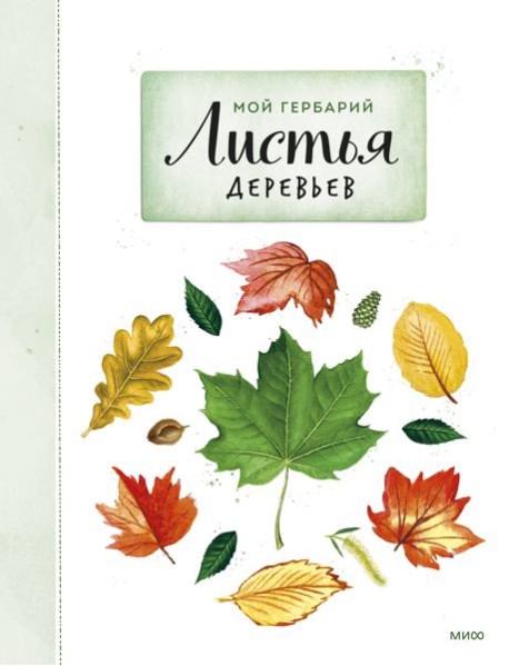 Мой гербарий. Листья деревьев(переупак)