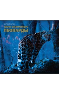 Мои знакомые леопарды