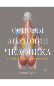 Основы анатомии человека: Наглядное руководство для художников