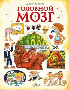 Головной мозг