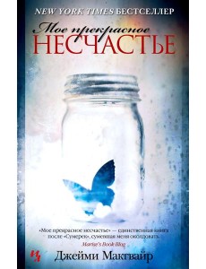 Мое прекрасное несчастье: роман Мое прекрасное несчастье: роман