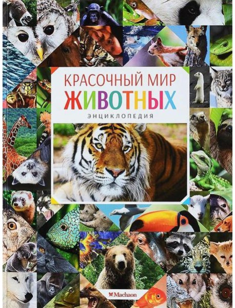 Красочный мир животных
