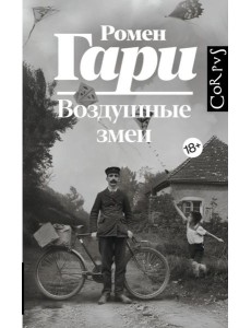 Воздушные змеи: роман Воздушные змеи: роман