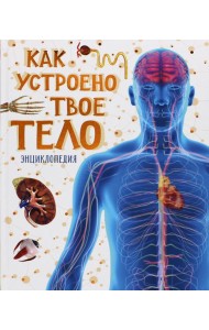 Как устроено твое тело. Энциклопедия