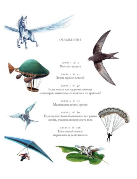 Полеты воображения. Разум и эволюция против гравитации