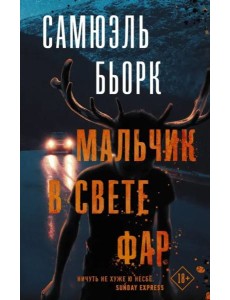 Мальчик в свете фар Мальчик в свете фар
