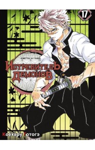 Истребитель демонов. Т. 17