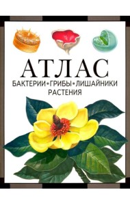 Бактерии, грибы, лишайники, растения: атлас. 4-е изд