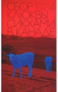 Сбор клюквы сикхами в Канаде