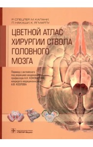 Цветной атлас хирургии ствола головного мозга