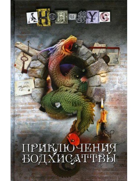 Приключения бодхисаттвы: роман