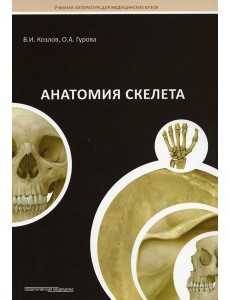 Анатомия скелета: Учебное пособие