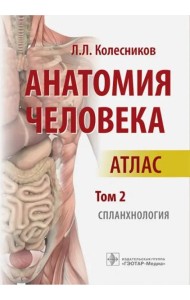 Анатомия человека: атлас: В 3 т. Т. 2. Спланхнология
