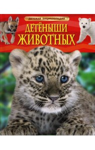 Детеныши животных. Детская энциклопедия