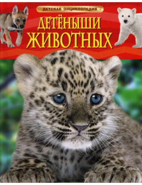 Детеныши животных. Детская энциклопедия