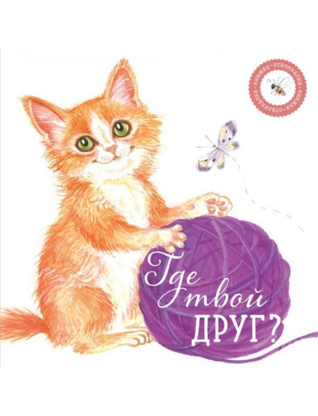 Где твой друг?