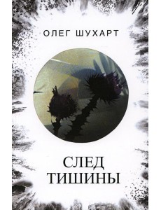 След тишины