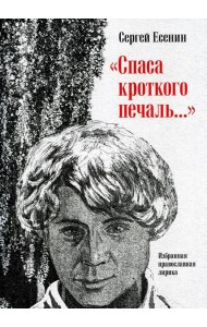 Спаса кроткого печаль…: Избранная православная лирика