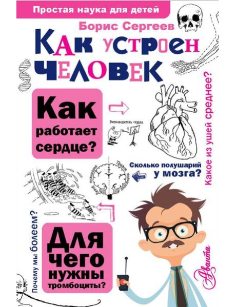 Как устроен человек