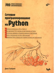 Сетевое программирование на Python Сетевое программирование на Python