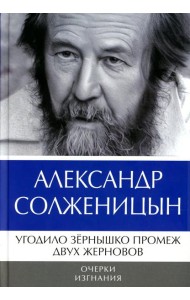 Угодило зернышко промеж двух жерновов: Очерки изгнания