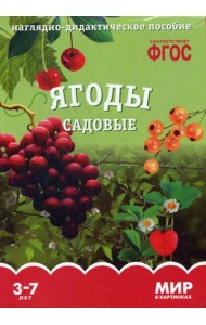 Мир в картинках. Ягоды садовые: наглядно-дидактическое пособие