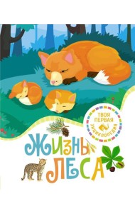 Жизнь леса