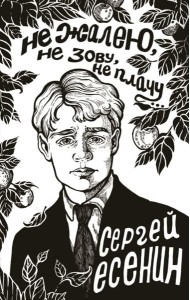 Не жалею, не зову, не плачу...