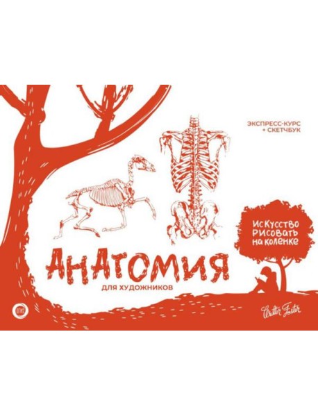 Анатомия для художников