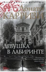 Девушка в лабиринте: роман (обл.)