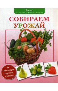 Собираем урожай. Малышам о живой природе
