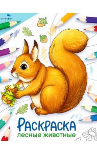 Лесные животные: раскраска