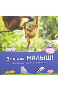Это мой малыш! Детеныши разных животных