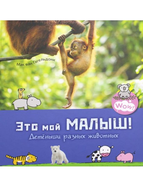 Это мой малыш! Детеныши разных животных
