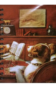 Скетчбук Кулидж. В гостях у больного друга