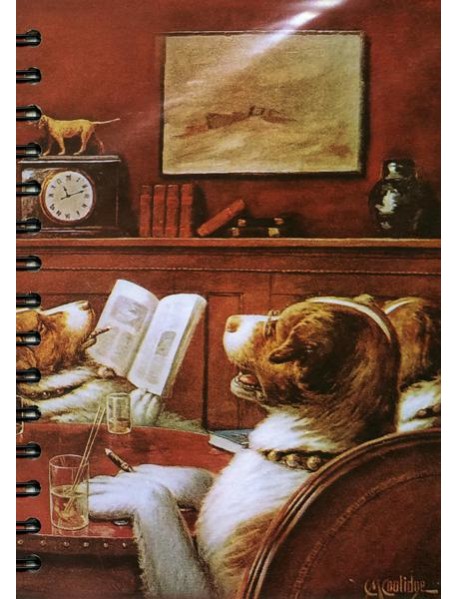 Скетчбук Кулидж. В гостях у больного друга