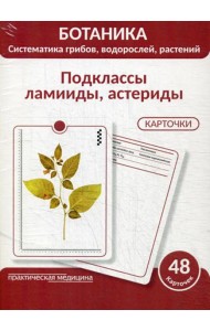 Ботаника. Систематика грибов, водорослей, растений. Подклассы ламииды, астериды. Учебное пособие. (КАРТОЧКИ 48 шт.)