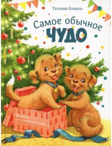 Самое обычное чудо: сказка