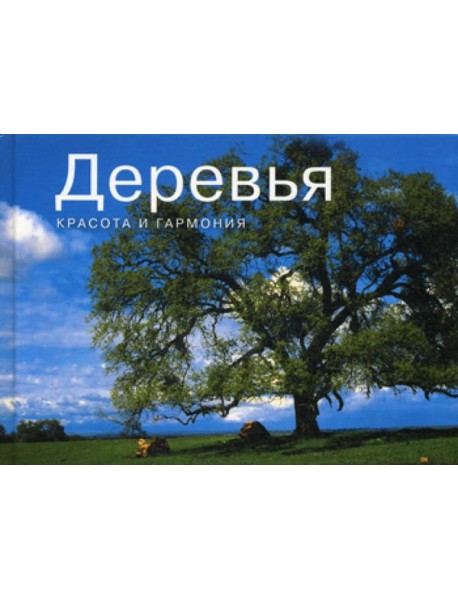Деревья. Красота и гармония