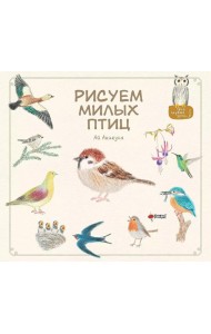 Рисуем милых птиц
